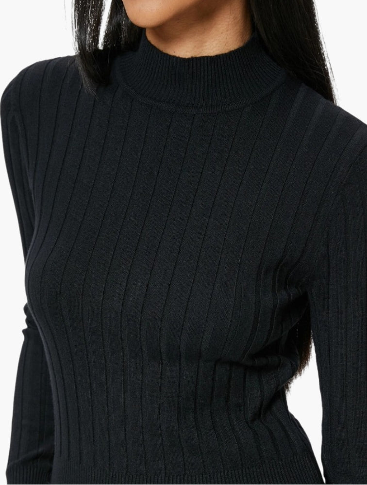 Daily Finery Black Ribbed High Neck Sweater - styled
